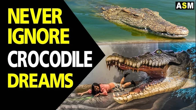 crocodile dream meaning