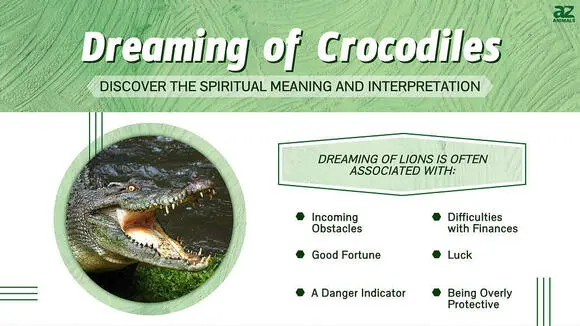 crocodile dream