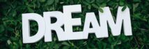 Word 'Dream' in white letters on lush green leaves, symbolizing growth and inspiration.