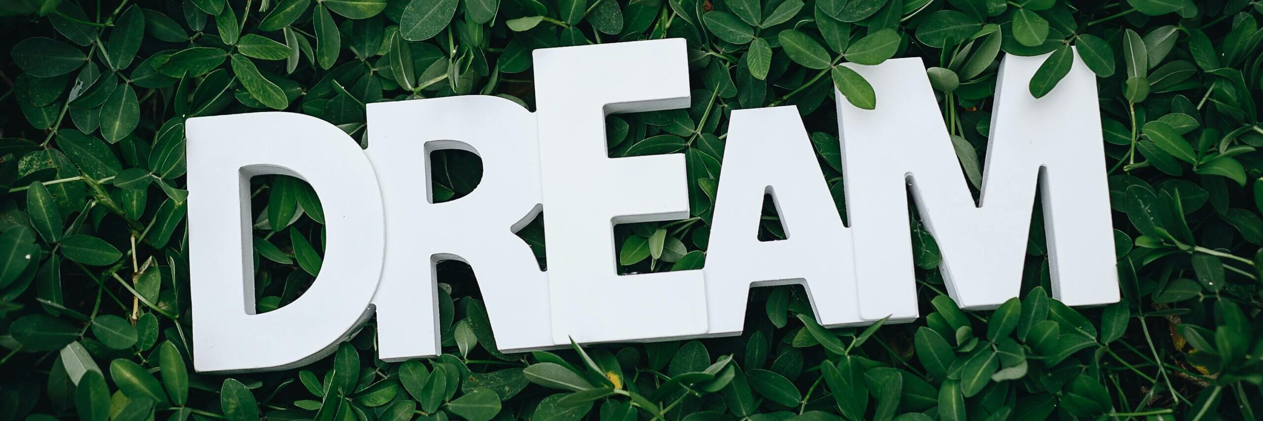 Word 'Dream' in white letters on lush green leaves, symbolizing growth and inspiration.