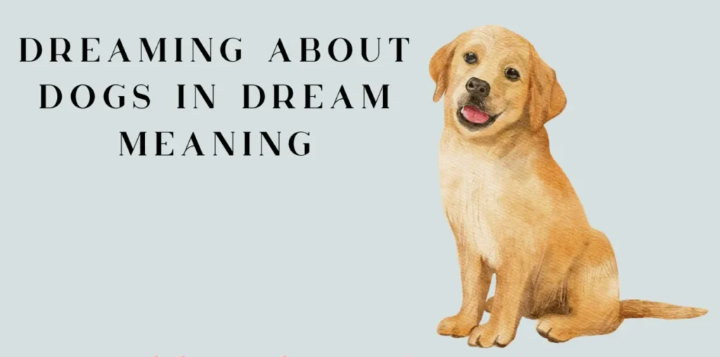 dog dream meaning