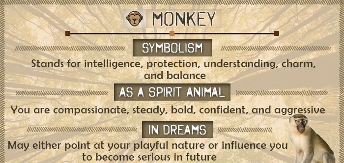 monkey dream meaning hinduism 