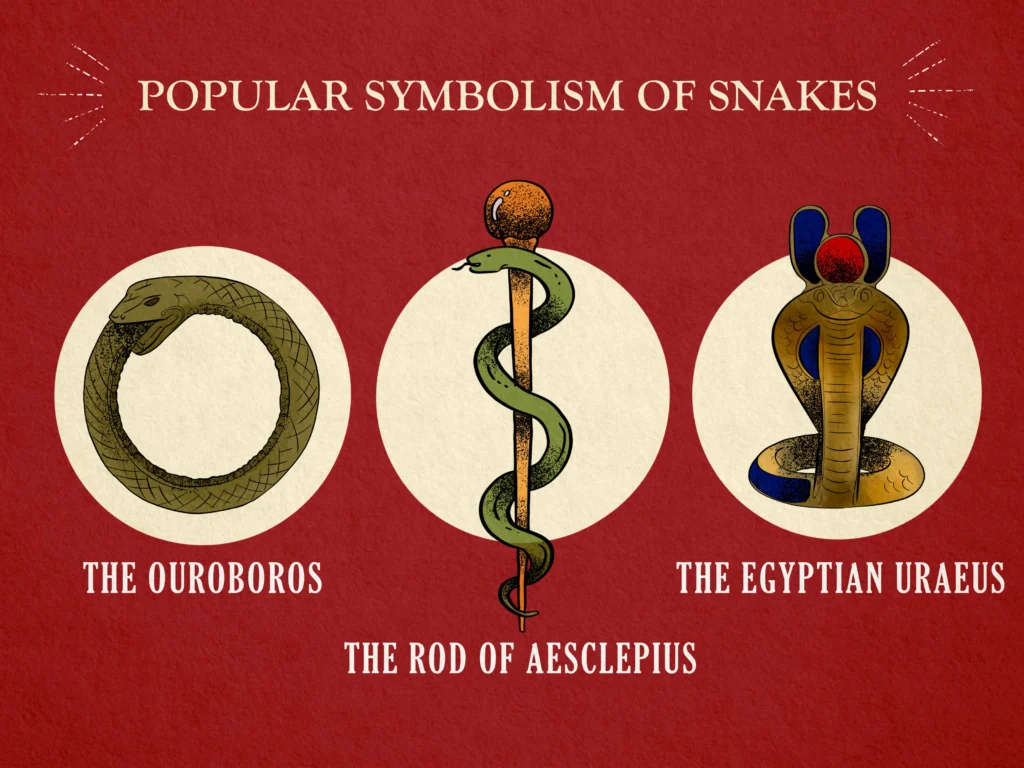 Snake Symbolize