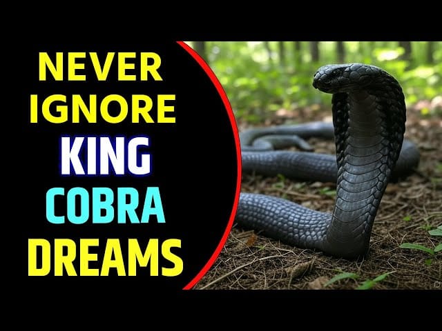 Cobra Dream Meaning