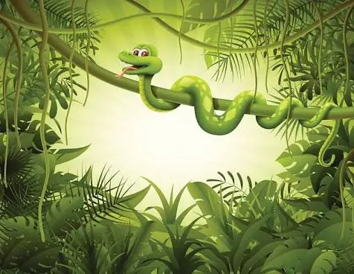 Green Snake Dream Meanings