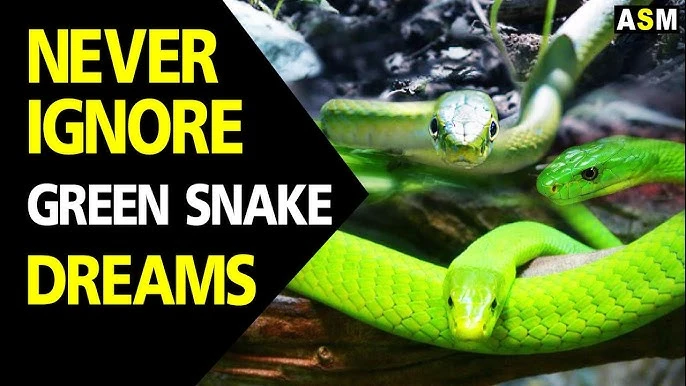 Green Snake Dream